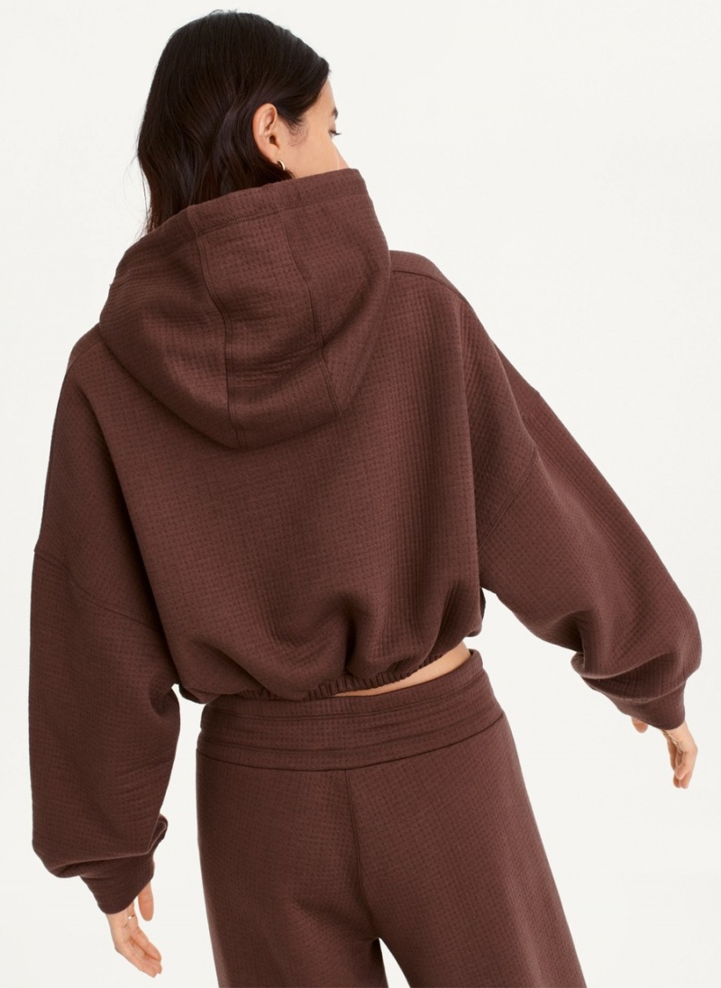 Brown Dkny Cropped Ottoman Knit Women's Hoodie | U1271177